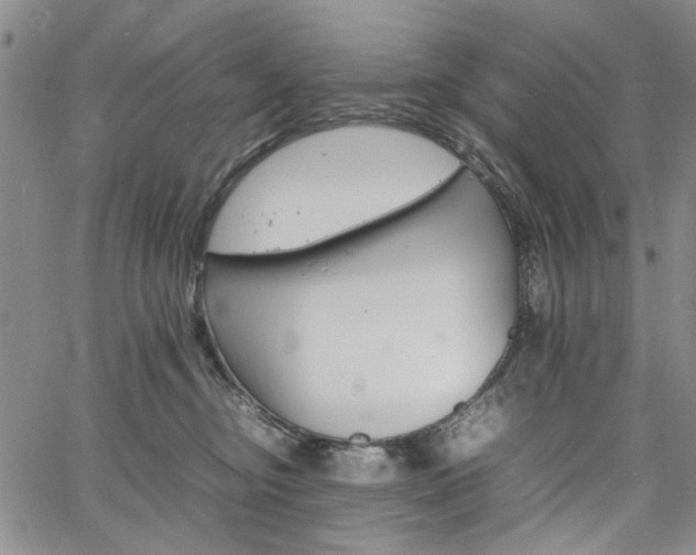 X0000067520374200604071327