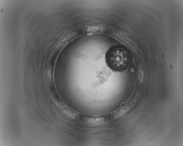 X0000067520375200604071327