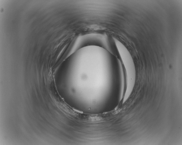 X0000067520376200604071327