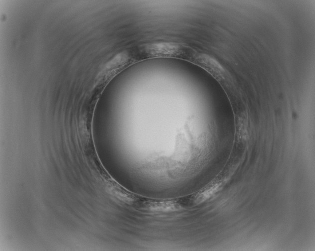 X0000067520377200604071327