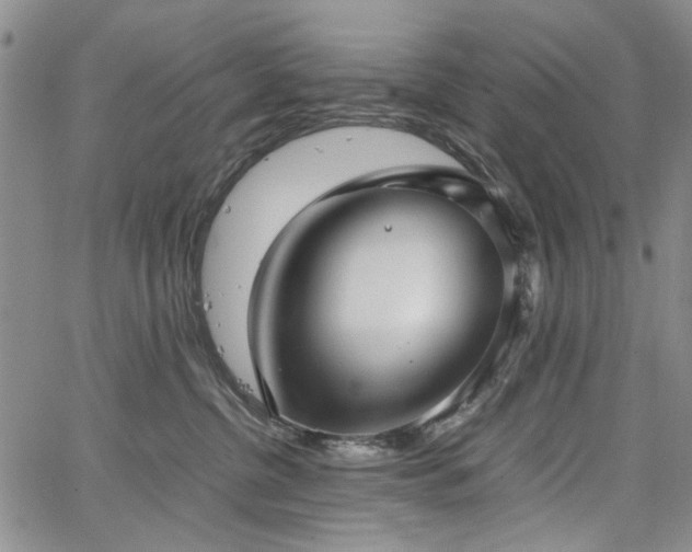 X0000067520380200604071327