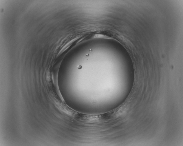 X0000067520384200604071327