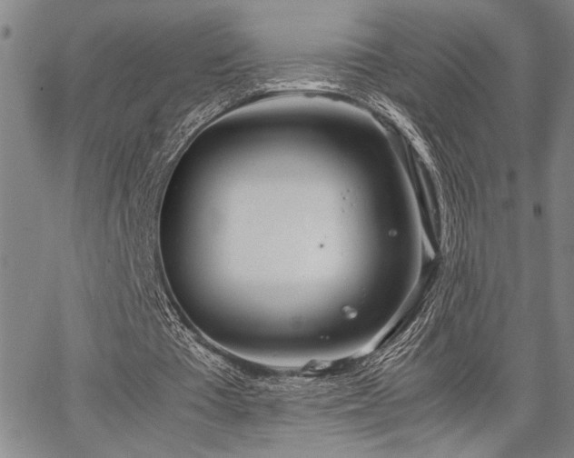 X0000067520385200604071327