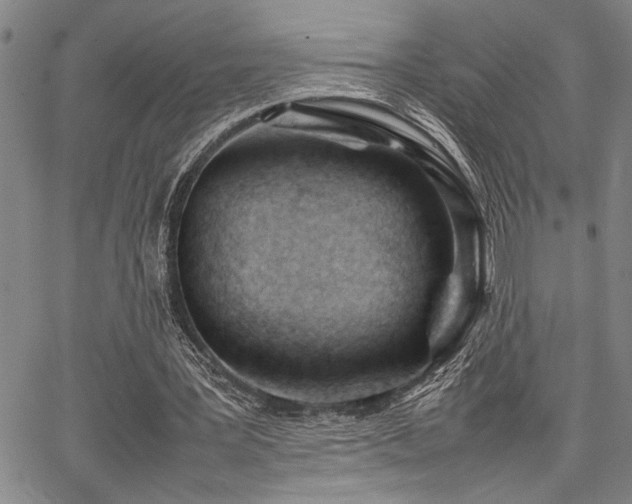 X0000067520387200604071327