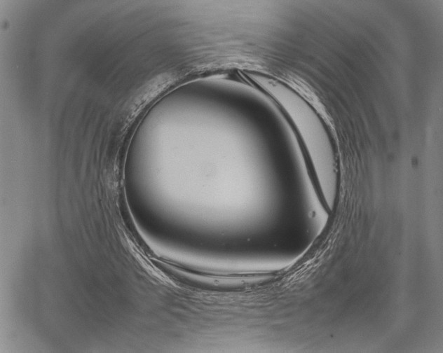 X0000067520389200604071327