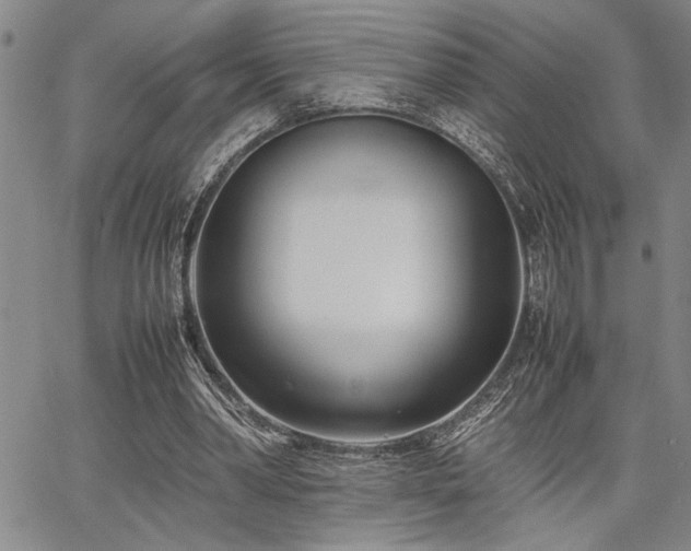 X0000067520390200604071326