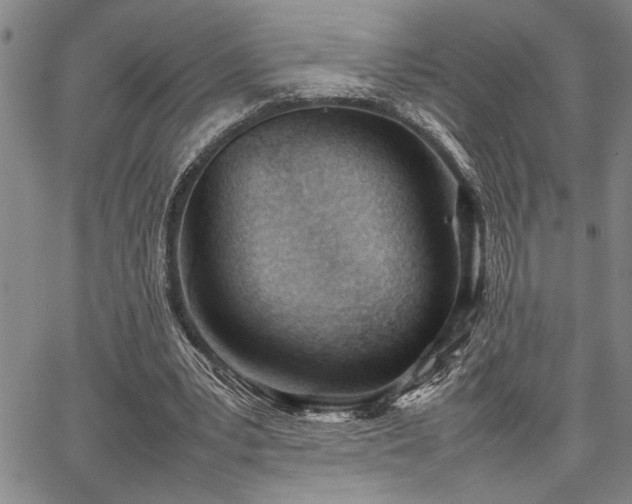 X0000067520391200604071326