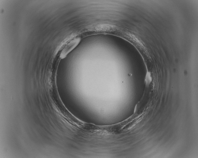 X0000067520392200604071326