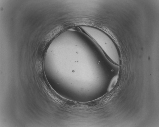 X0000067520393200604071326