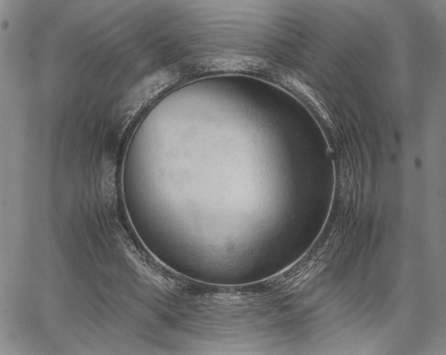 X0000067520394200604071326