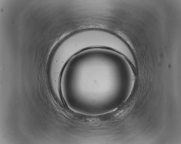 X0000067520395200604071326