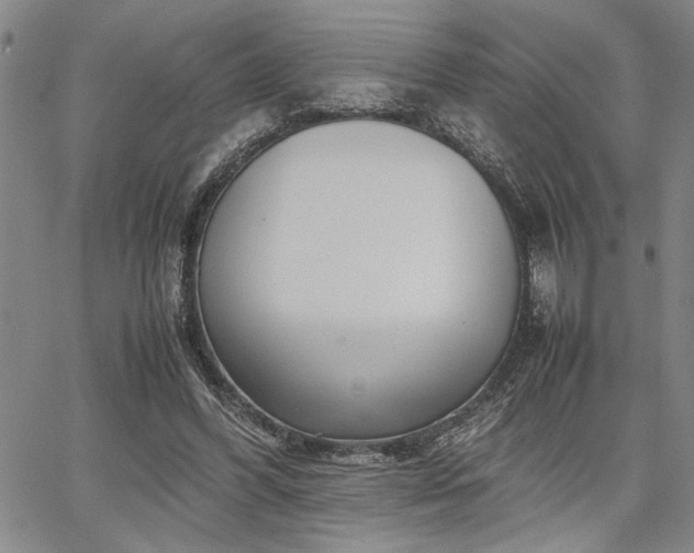 X0000067520396200604071326