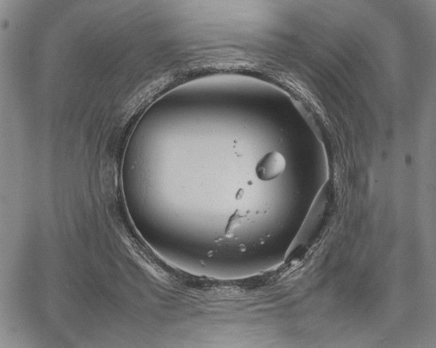 X0000067520397200604071326