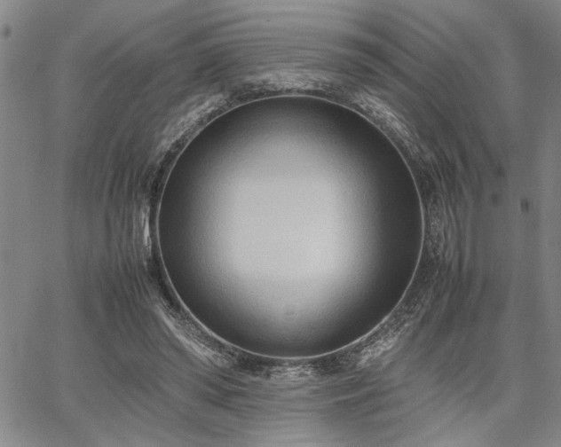 X0000067520398200604071326