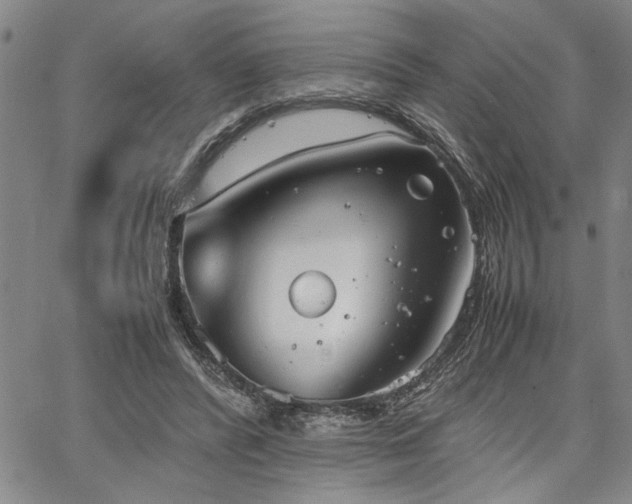 X0000067520400200604071326