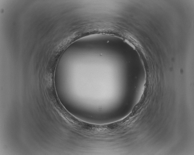 X0000067520401200604071326