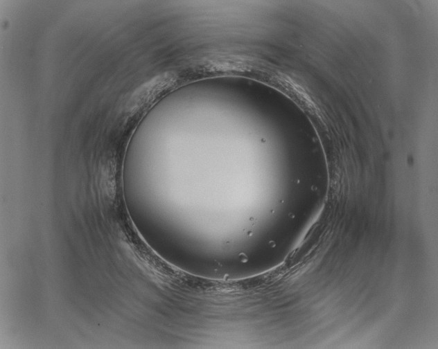 X0000067520402200604071326