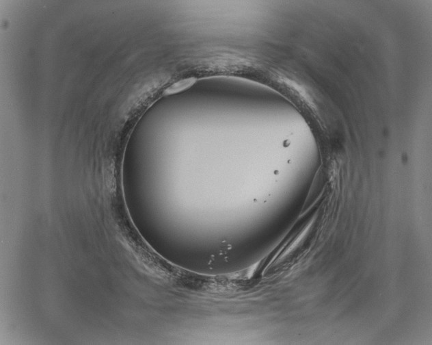 X0000067520403200604071326