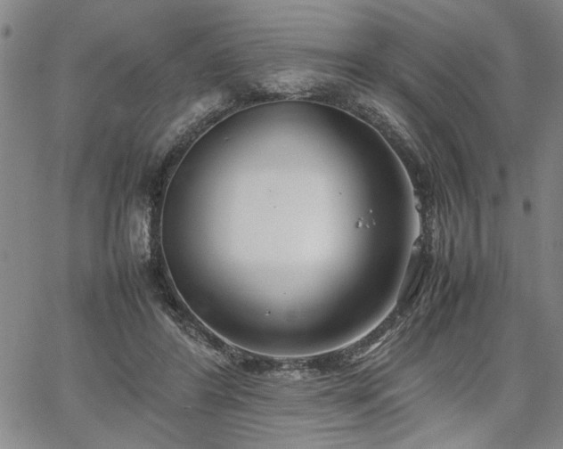 X0000067520404200604071326