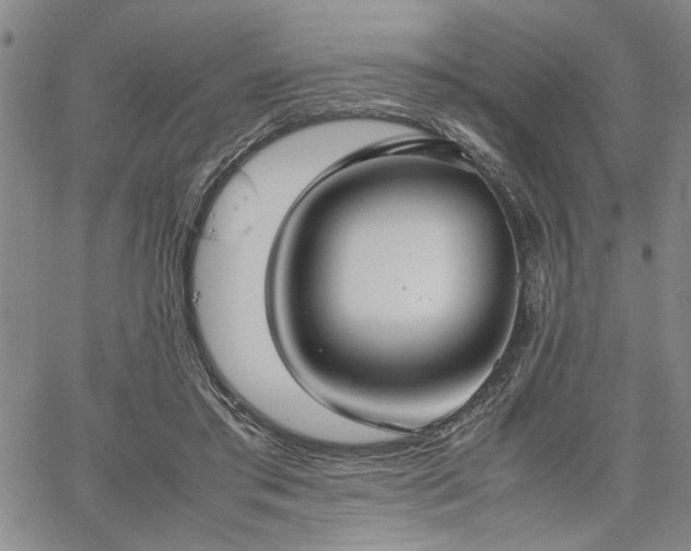 X0000067520405200604071326