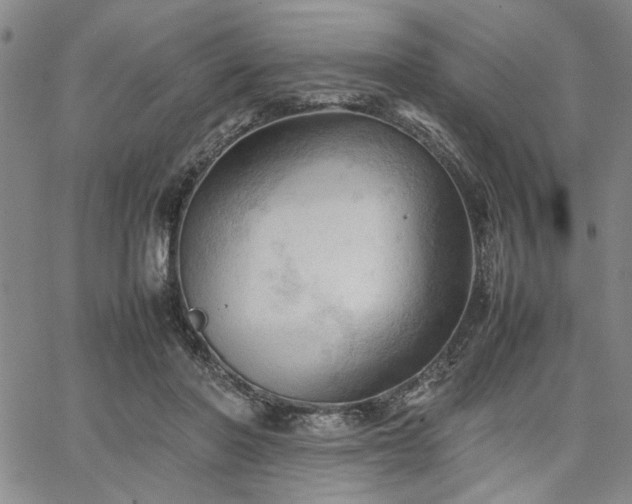 X0000067520406200604071326