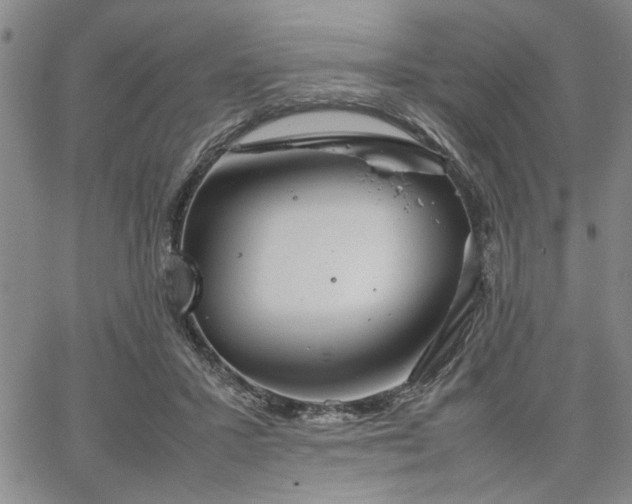 X0000067520407200604071326