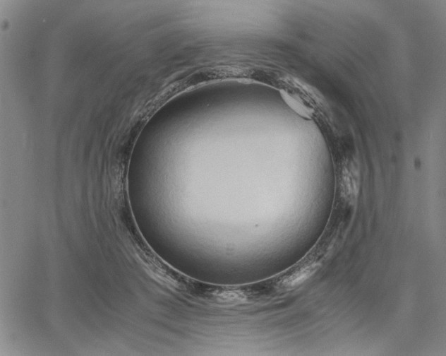 X0000067520409200604071326