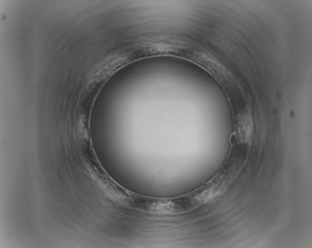 X0000067520410200604071326