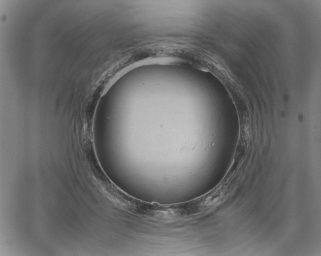 X0000067520411200604071326