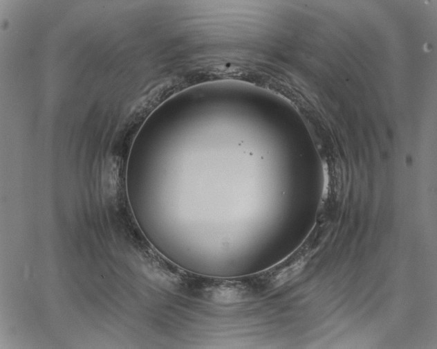 X0000067520412200604071326