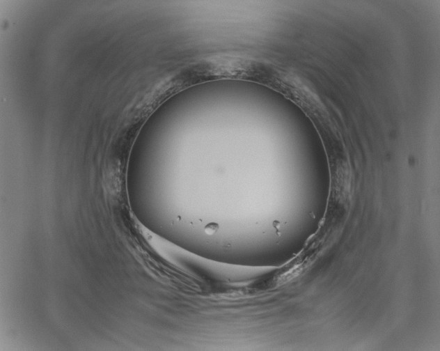 X0000067520413200604071326