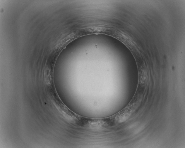 X0000067520414200604071326