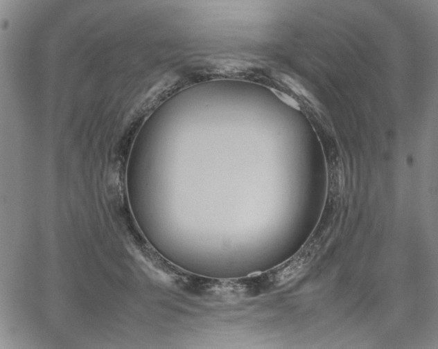 X0000067520415200604071326