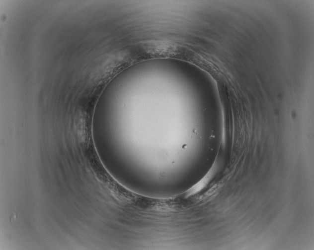 X0000067520416200604071326