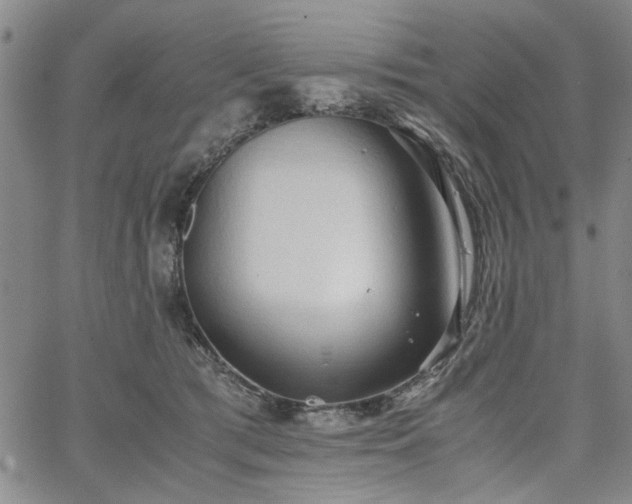 X0000067520417200604071326