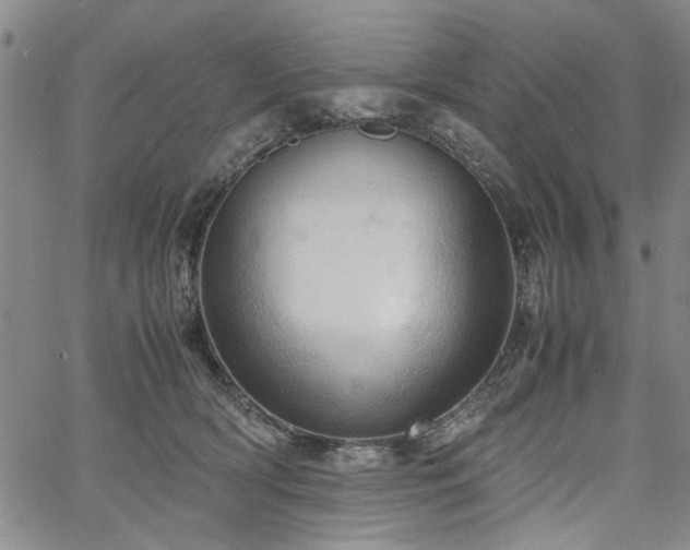 X0000067520418200604071326