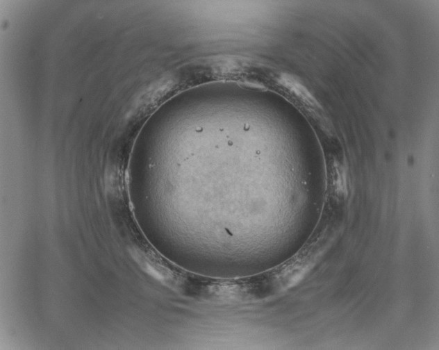 X0000067520419200604071326