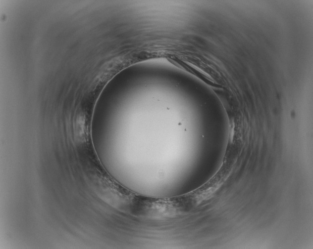 X0000067520420200604071326