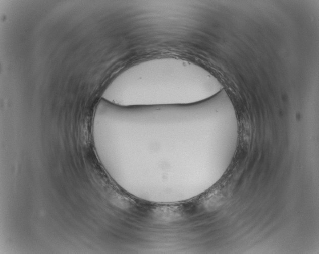 X0000067520422200604071326