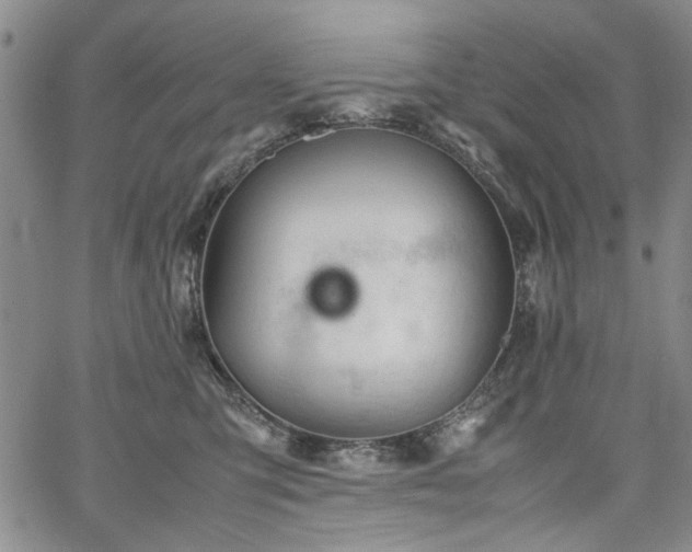 X0000067520423200604071326