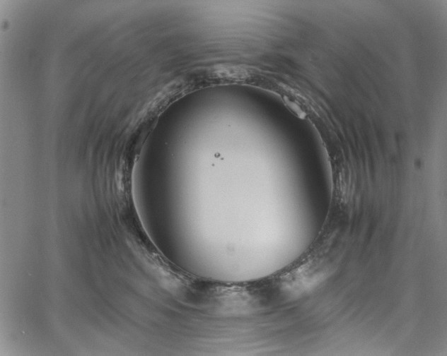 X0000067520424200604071326