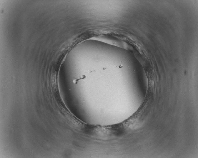 X0000067520425200604071326