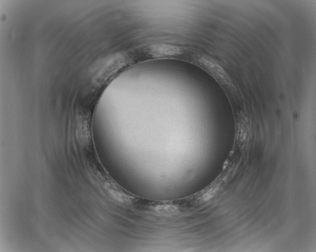 X0000067520426200604071326