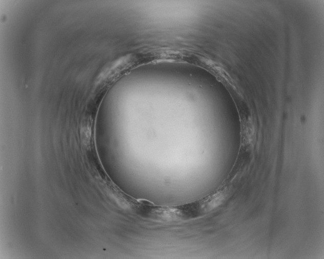 X0000067520427200604071326