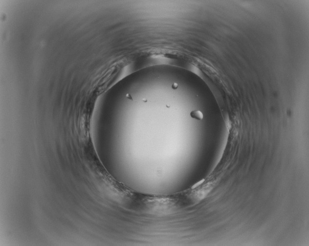 X0000067520428200604071326