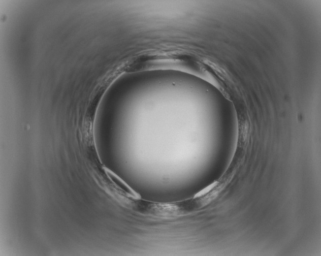 X0000067520429200604071326