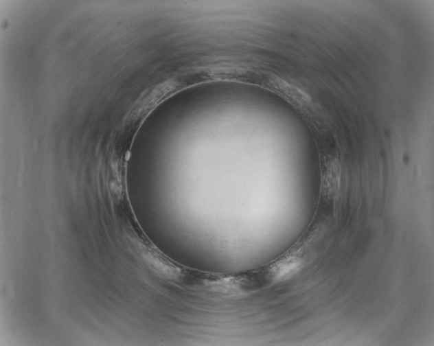 X0000067520430200604071326