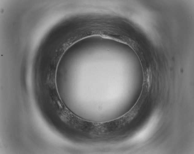 X0000067520431200604071326