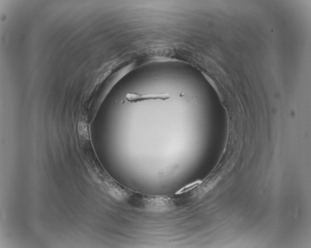 X0000067520432200604071326