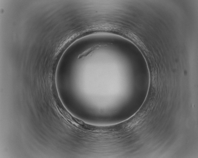 X0000067520434200604071325